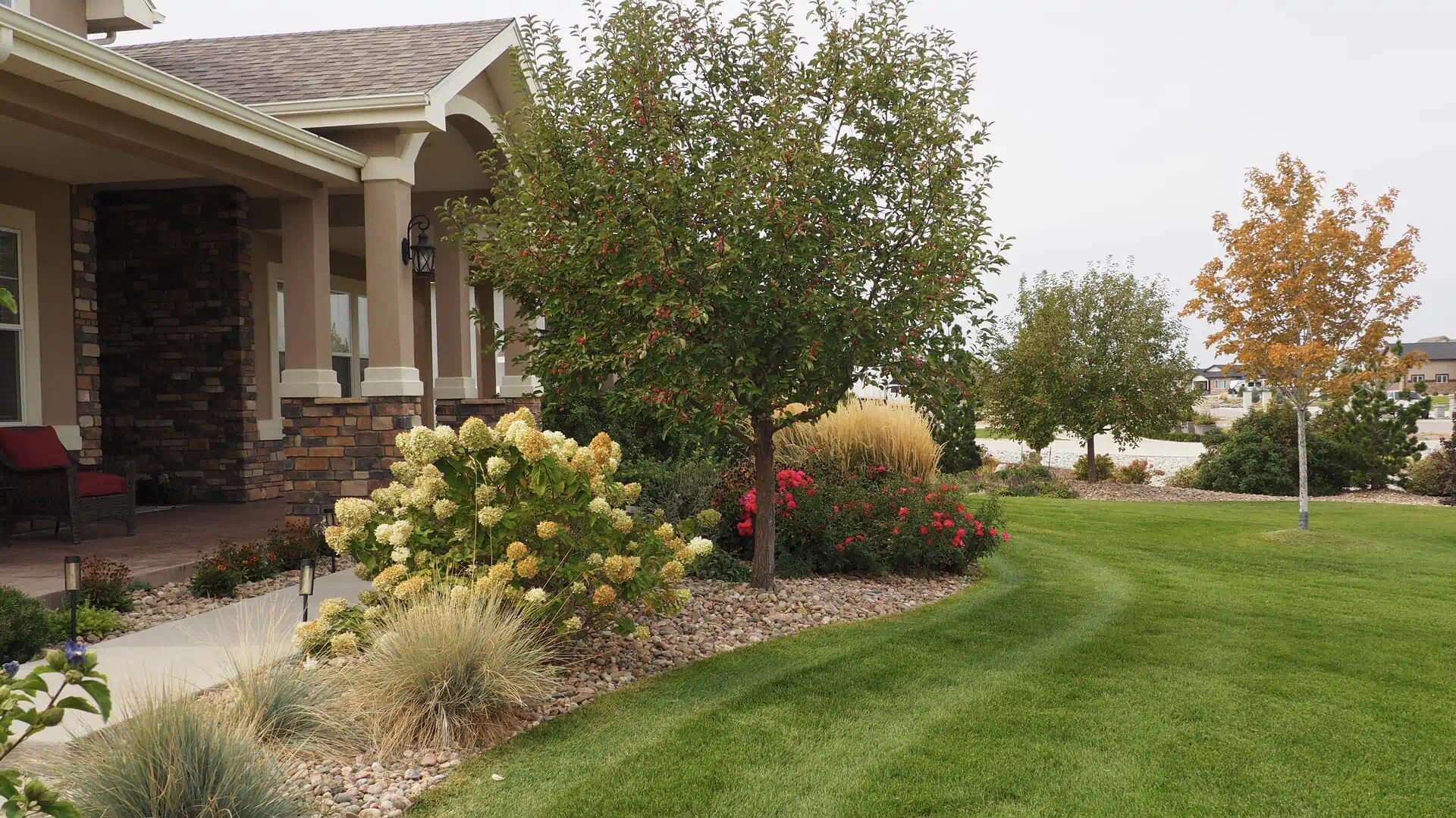 Hero Background Image (1)