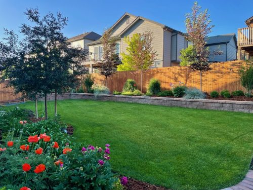 1ca019e0 233c 4c0f 81d7 c26650eb23c5